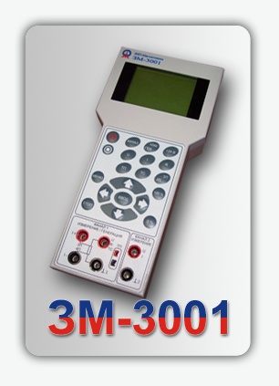  3001