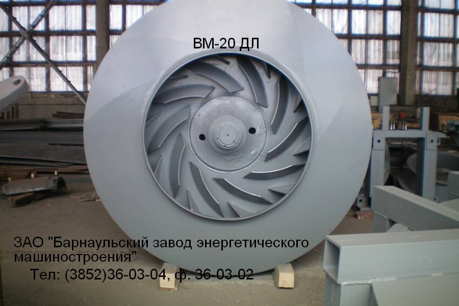 -20 