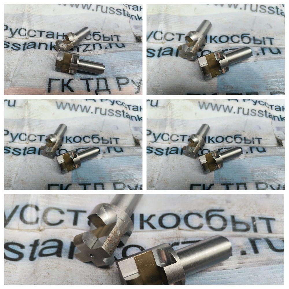     trevisan 600