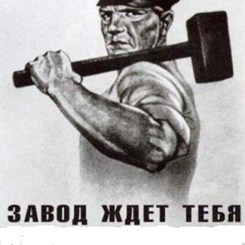   , 