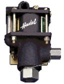   haskel
