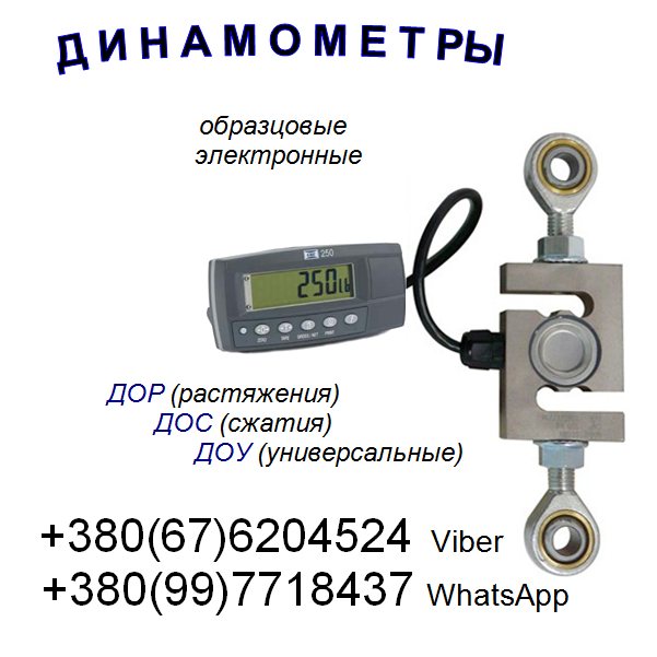    (  )  -3