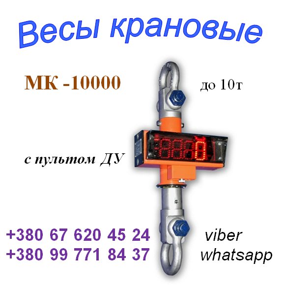 ()  -10000  10  .: 