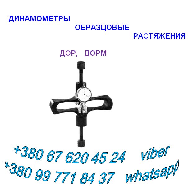    ()