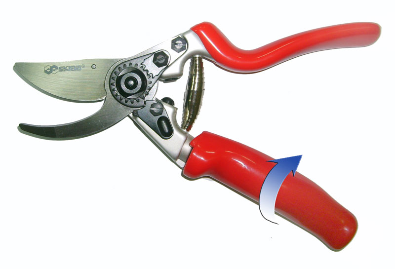 28034     skrab