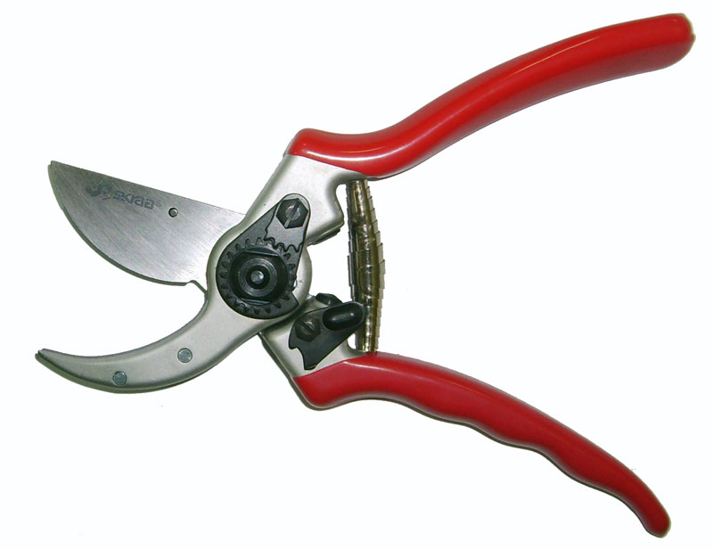 28035   skrab
